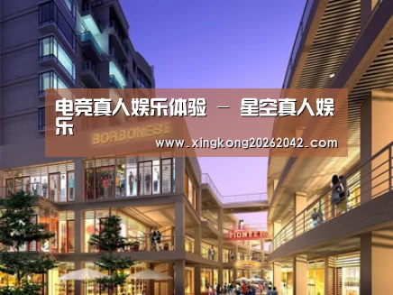 案例展示一(图1)