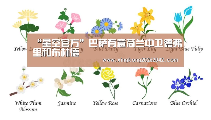 “星空官方”巴萨有意荷兰中卫德弗里和布林德(图1) 星空官方