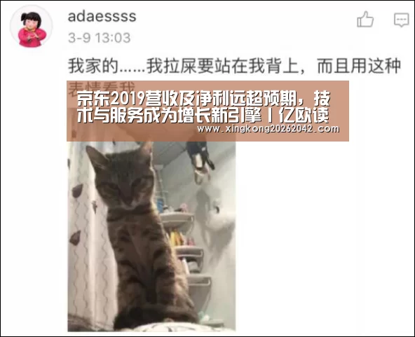 京东2019营收及净利远超预期,技术与服务成为增长新引擎丨亿欧读财报-星空赛事(图1) 星空APP