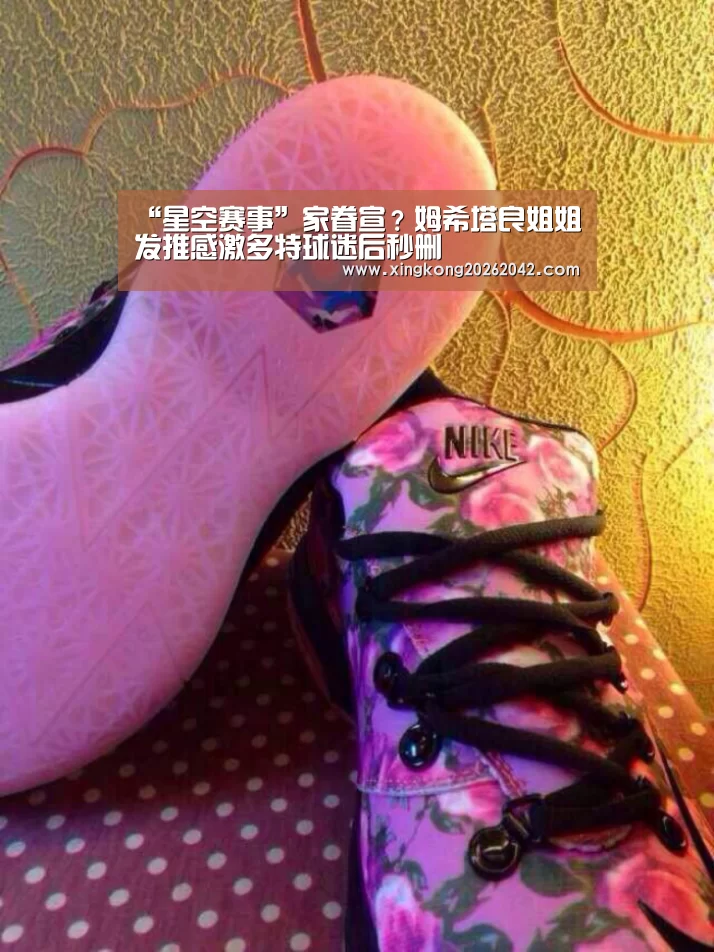 “星空赛事”家眷宣?姆希塔良姐姐发推感激多特球迷后秒删(图2) 星空官方
