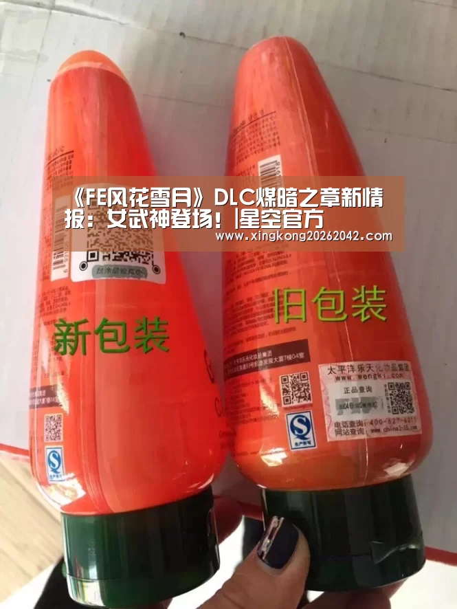 《FE风花雪月》DLC煤暗之章新情报:女武神登场!|星空官方(图1) 星空APP